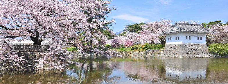 花見